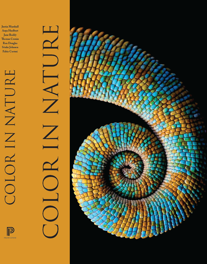 Cover of the book showing the colourful tail of a reptile