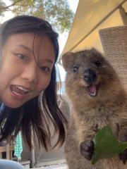 a photo of Juli Li (and a Quokka)
