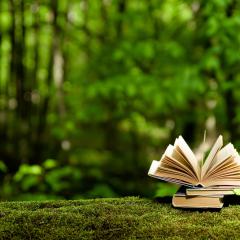 books in a forest