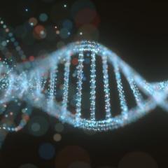 DNA