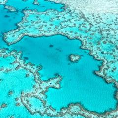 Image of the blue ocean and light green coral of the Great Barrier Reef 