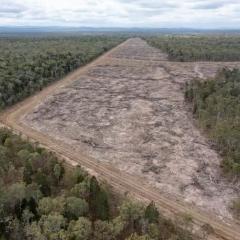 Land clearing