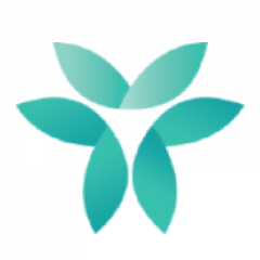 WiT logo