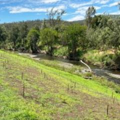 Waterway restoration