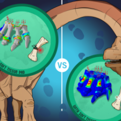 Dinosaur illustration