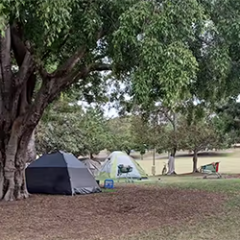 Tents