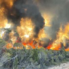 Fires