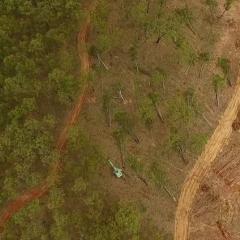 Land clearing