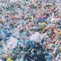 Plastic pollution