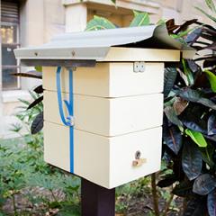 bee hive box