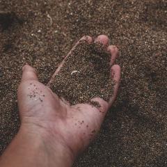 Close-Up Photo of Person Holding Sand - Photo by Krisp Cut from Pexels