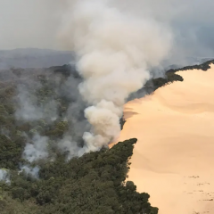 Fire on Fraser Island